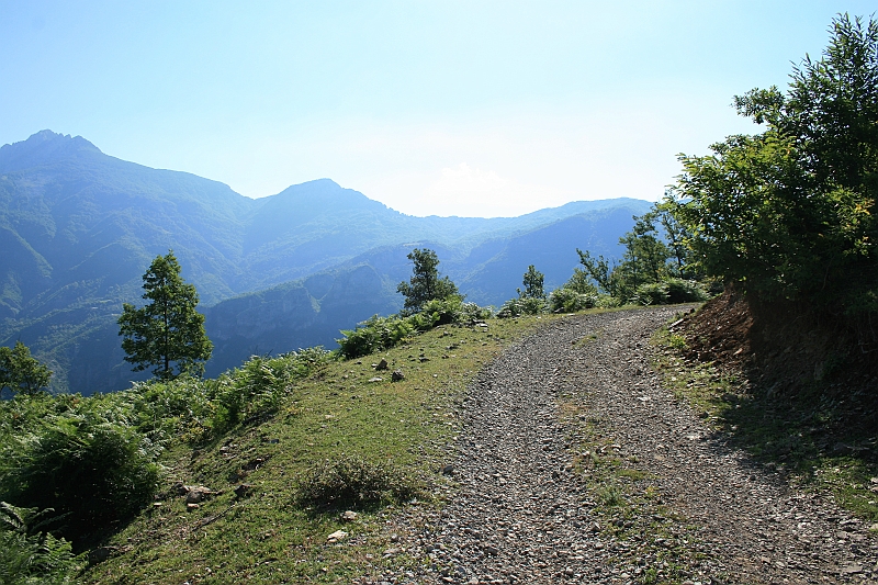 Albania 2008 150